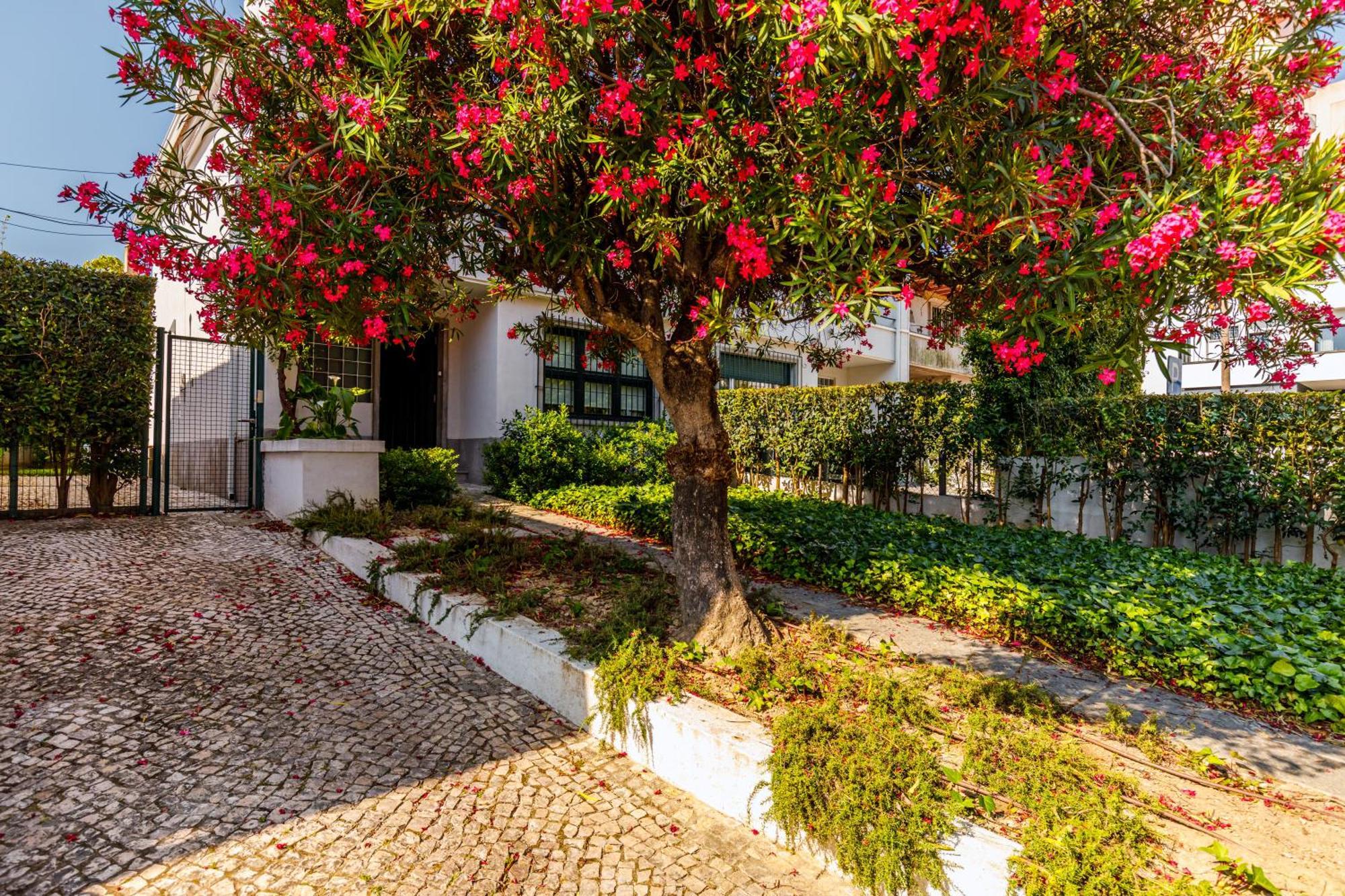 Ferienhaus Casa Da Laurentina - Charm & Garden Lissabon